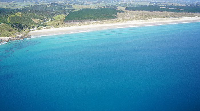 Te Ārai Beach.