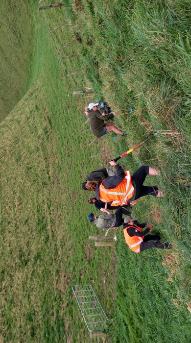 Volunteers in high-vis gear plant on a grassy hillside in a green valley.